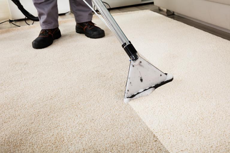 Carpet being cleaned with carpet cleaner