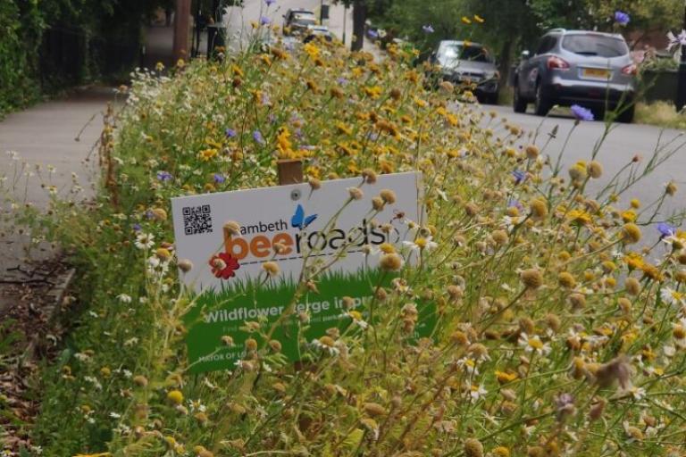 View of a Lambeth Bee Road site on Covington Way in Streatham