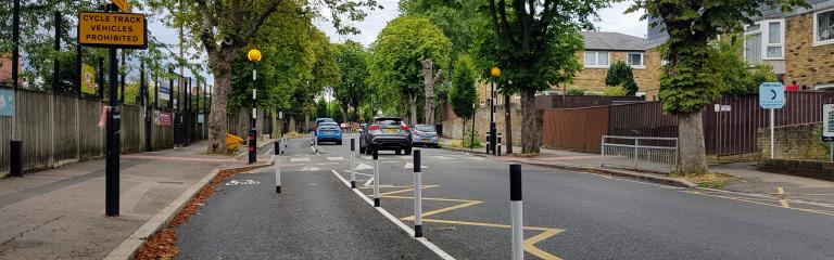 Street road with trees, road signs and cars