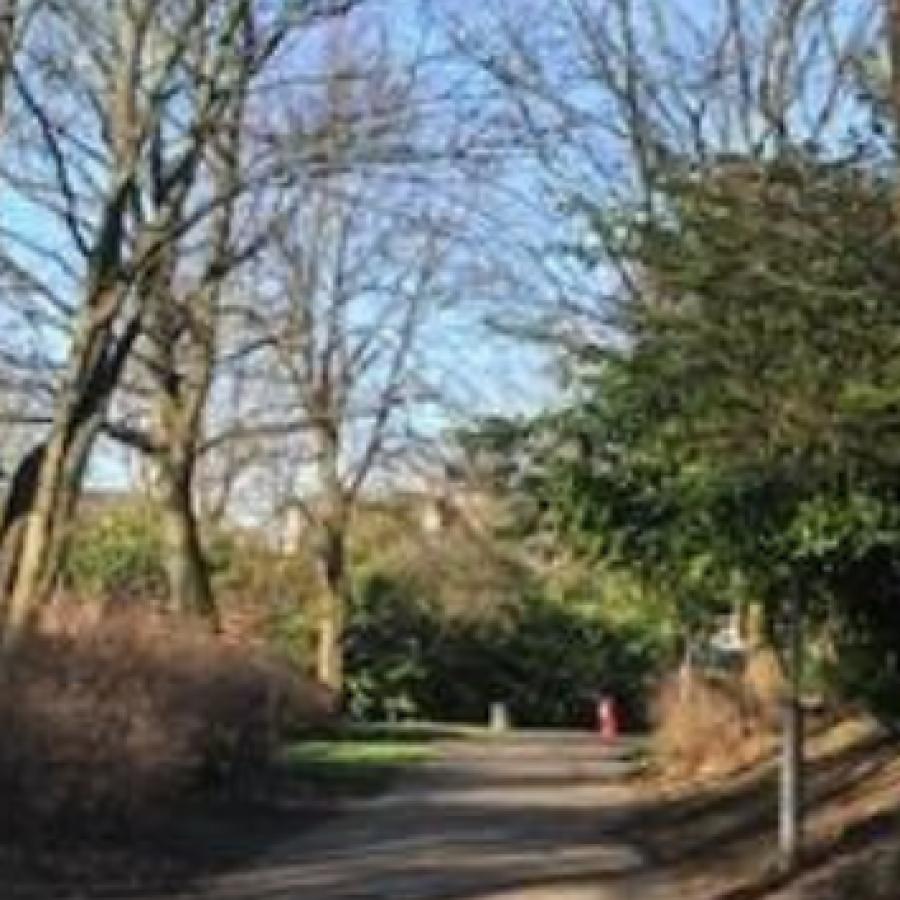 Pathway in Loughborough Park