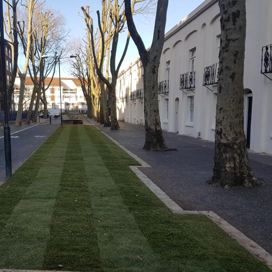 New turf and cycle lane on Cowley Road