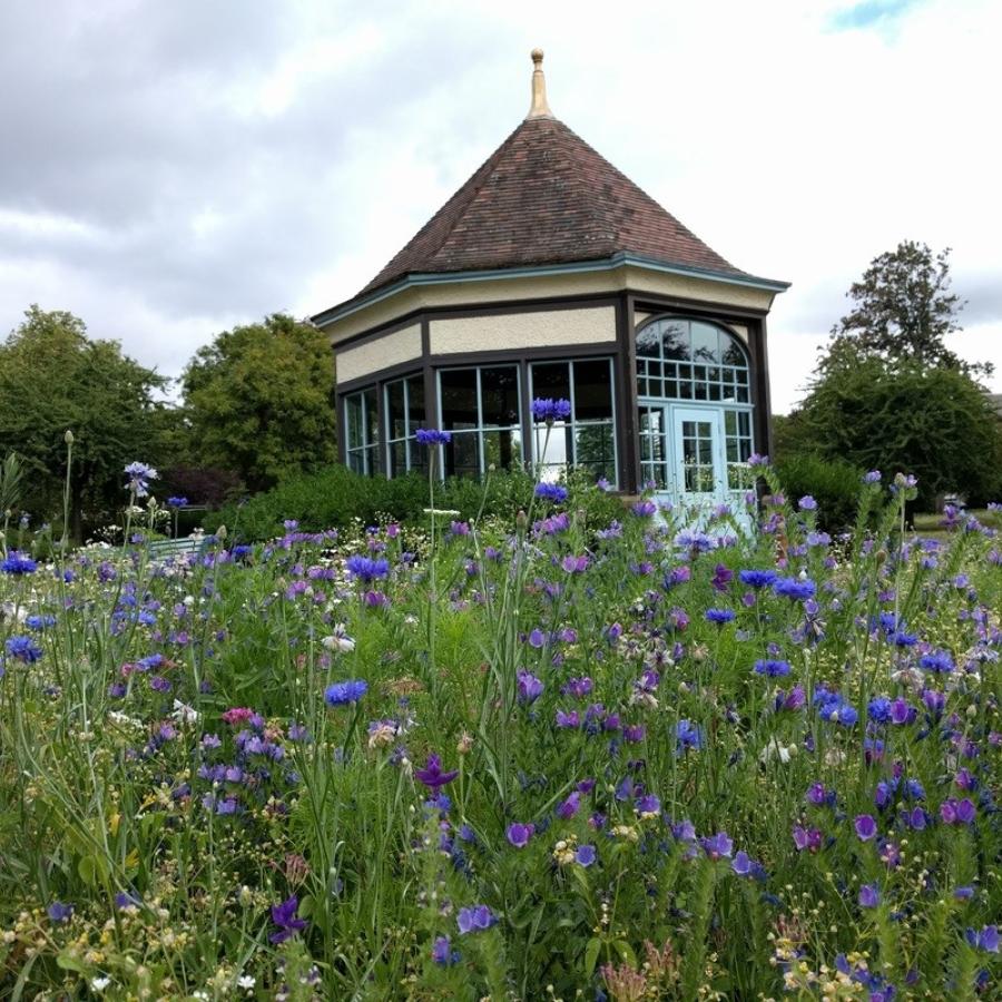 Roundhouse in Myatt's Fields Park