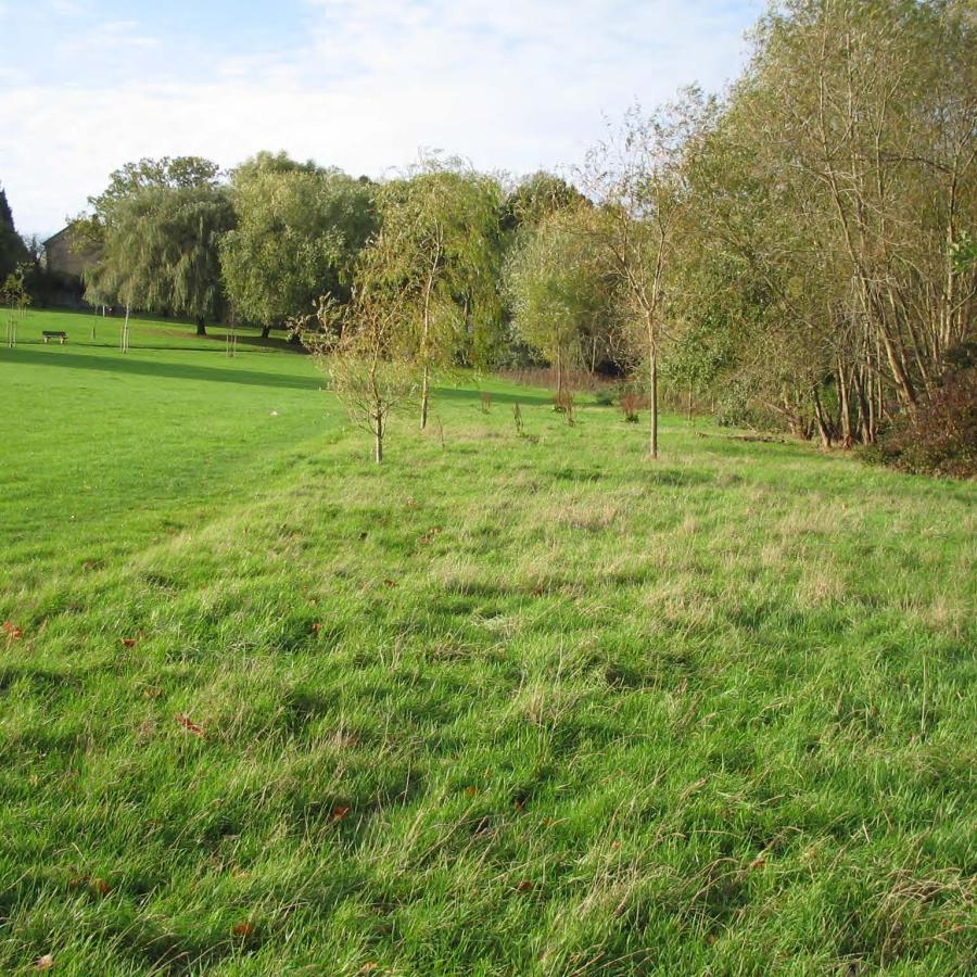 Trees and grass areas in Norwood Park