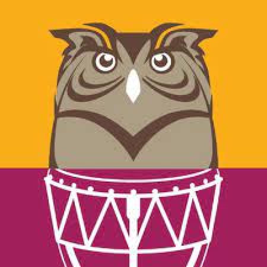 Lambeth Country Show owl