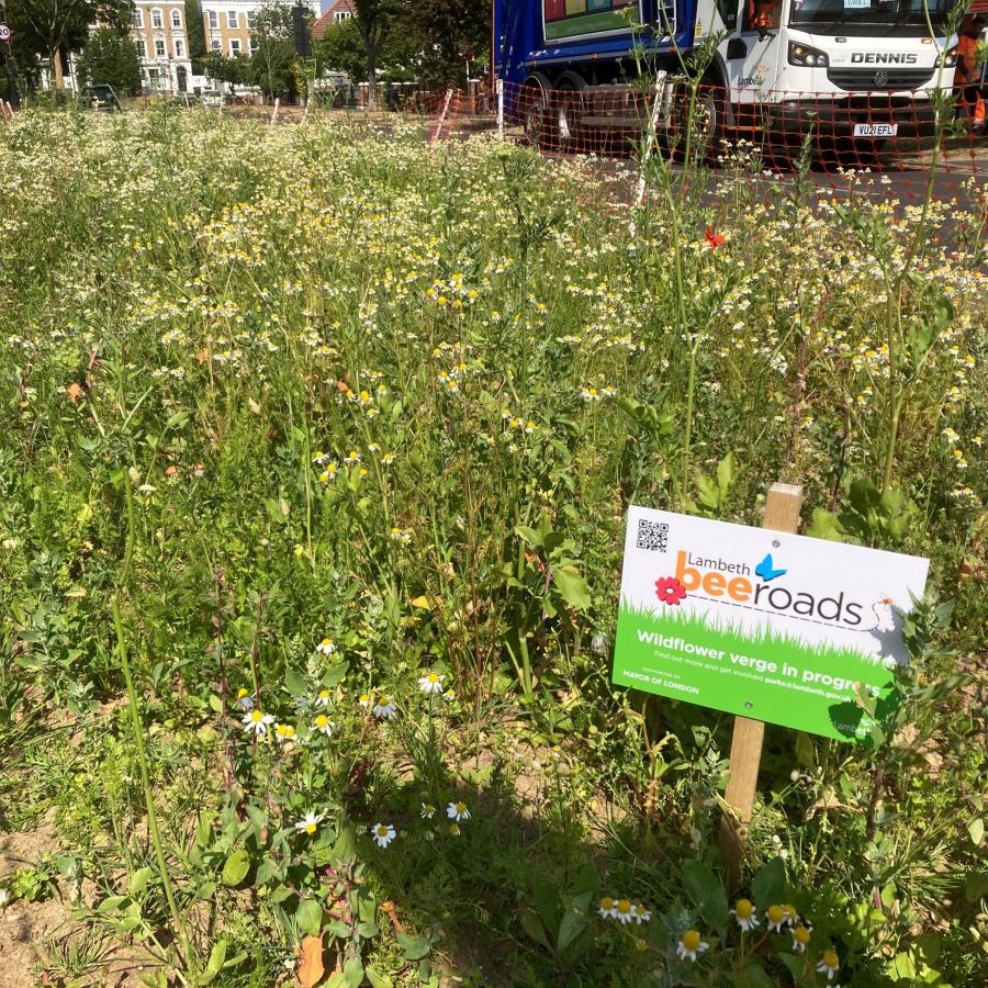 Bee Road verge on Atkins Road in Balham