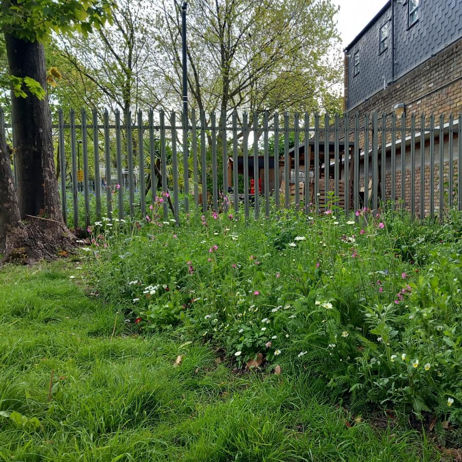 A Lambeth Bee Roads site next to Myatt's Fields South Estate in Brixton 