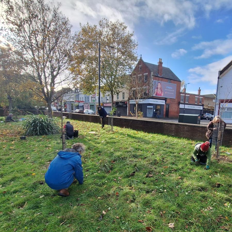 Volunteers planting wild bulbs in a grass area on Windsor Grove