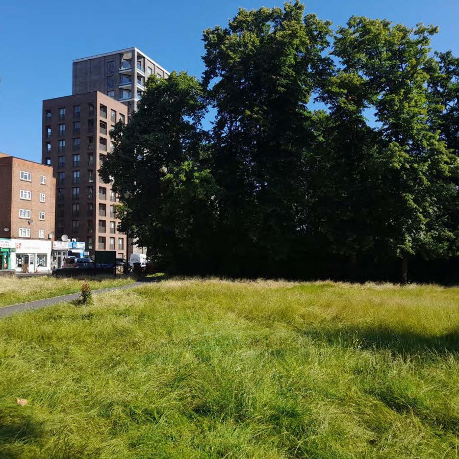 View of a Lambeth Bee Road site on Rush Common in Brixton