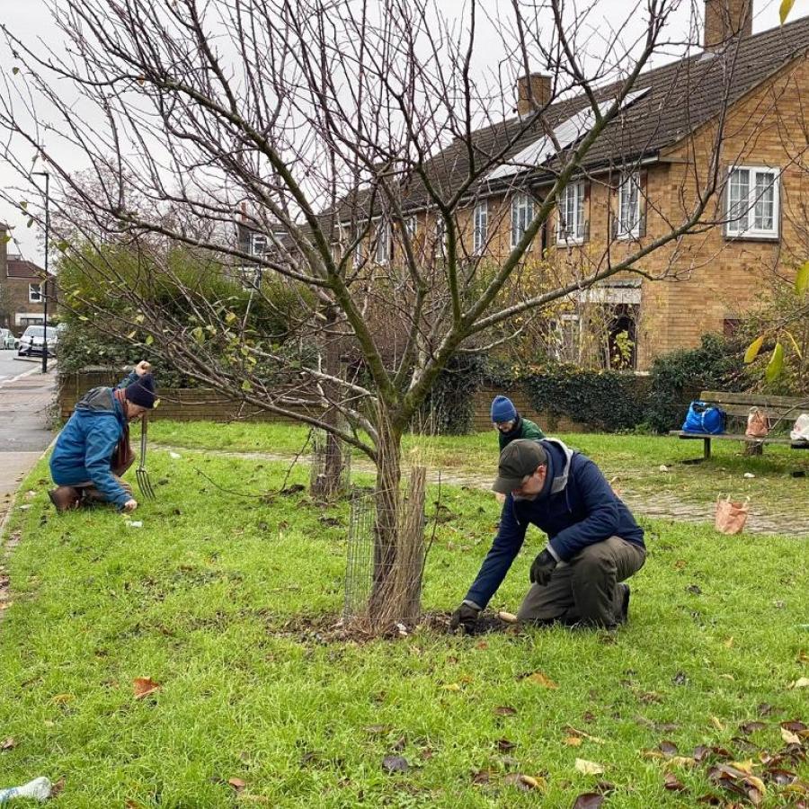 Local volunteers planting a new Bee Roads site on grassland on Vale Street in West Norwood